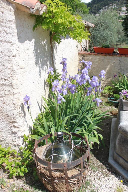 Amour Provence Séguret Exterior foto